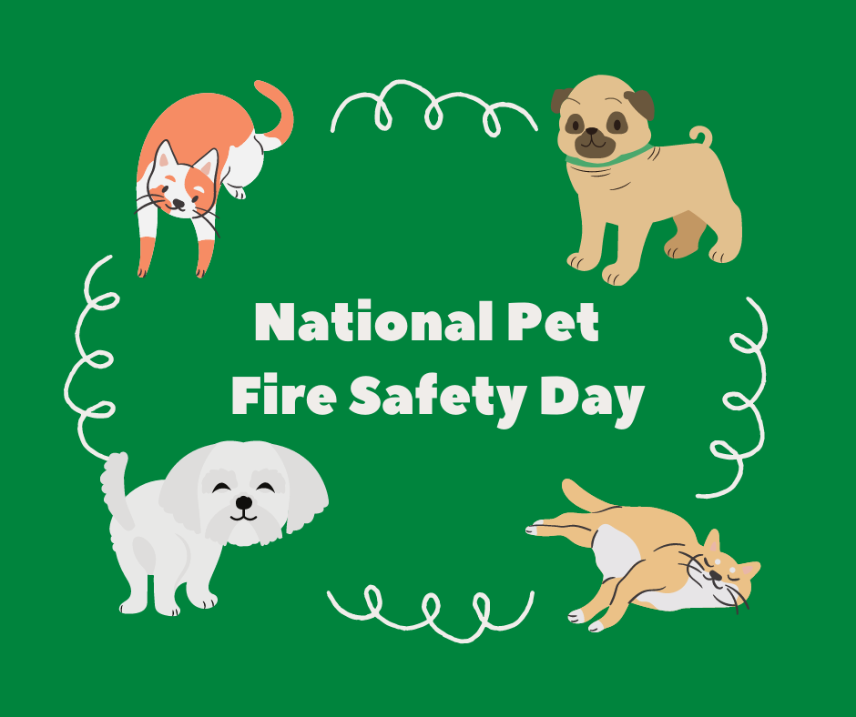 National Pet Fire Safety Day is July 15th