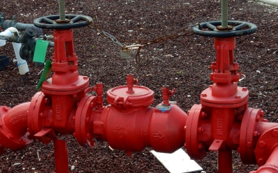 Backflow Prevention Device